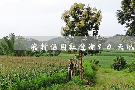 农村信用社逾期90天以上贷款 农村信用社逾期90天以上贷款