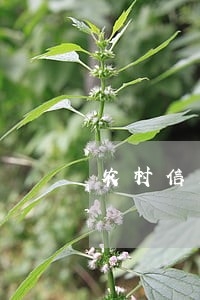 农村信用社逾期一天可以吗