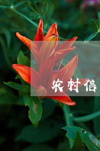 农村信用社逾期一天好多钱 农村信用社逾期一天好多钱