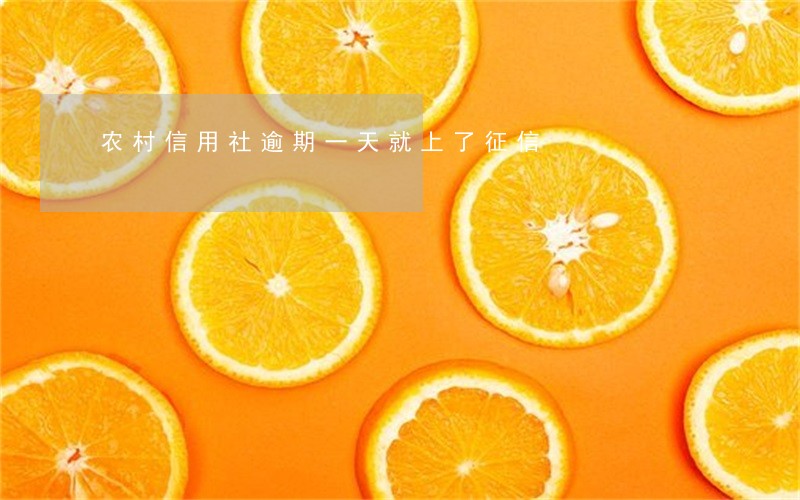 农村信用社逾期一天就上了征信 农村信用社逾期一天就上了征信