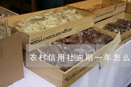 农村信用社逾期一年怎么办 农村信用社逾期一年怎么办