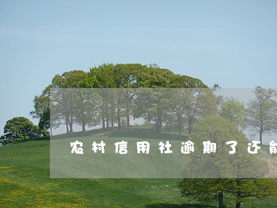 农村信用社逾期了还能办惠农卡吗 农村信用社逾期了还能办惠农卡吗
