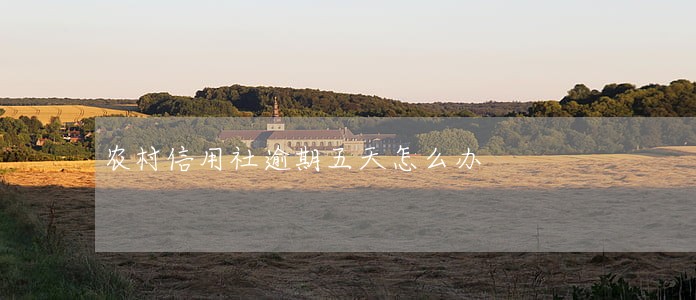 农村信用社逾期五天怎么办