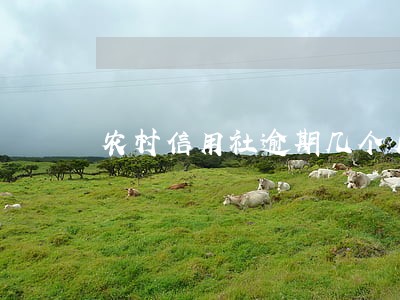 农村信用社逾期几个月了怎么办
