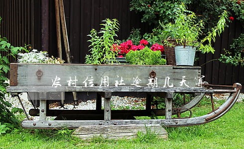 农村信用社逾期几天算