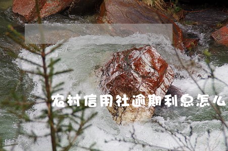 农村信用社逾期利息怎么算 农村信用社逾期利息怎么算