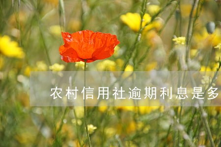 农村信用社逾期利息是多少 农村信用社逾期利息是多少