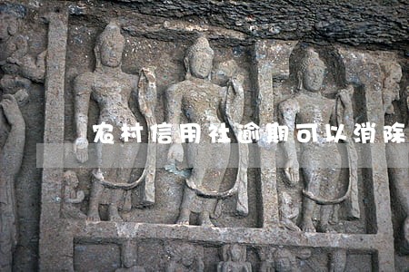 农村信用社逾期可以消除吗