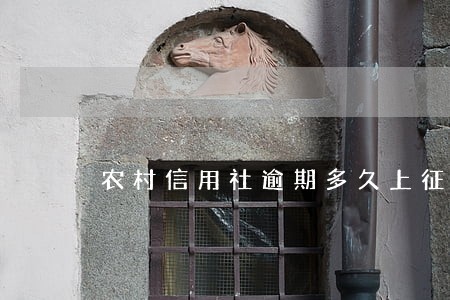 农村信用社逾期多久上征信报告