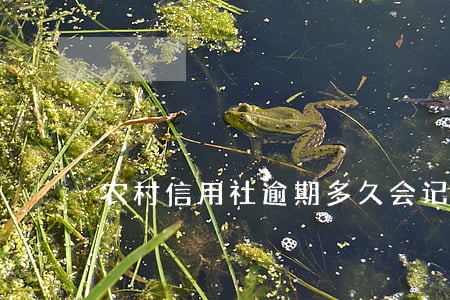 农村信用社逾期多久会记录不良 农村信用社逾期多久会记录不良