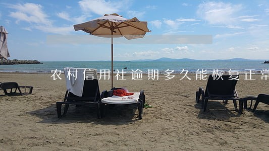 农村信用社逾期多久能恢复正常 农村信用社逾期多久能恢复正常