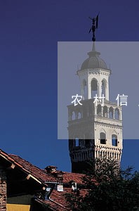 农村信用社逾期多长时间上征信 农村信用社逾期多长时间上征信