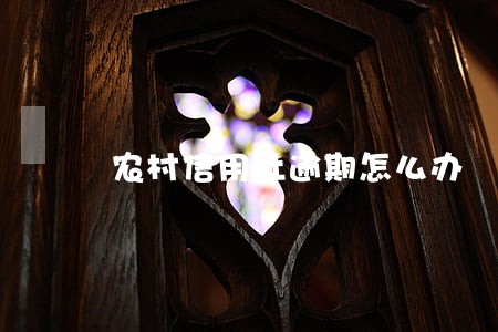农村信用社逾期怎么办 农村信用社逾期怎么办