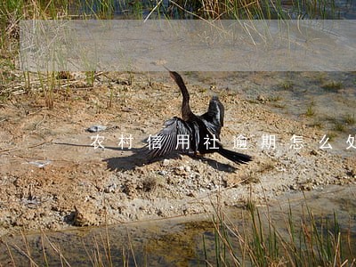农村信用社逾期怎么处理 农村信用社逾期怎么处理