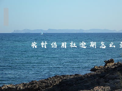 农村信用社逾期怎么查欠款 农村信用社逾期怎么查欠款