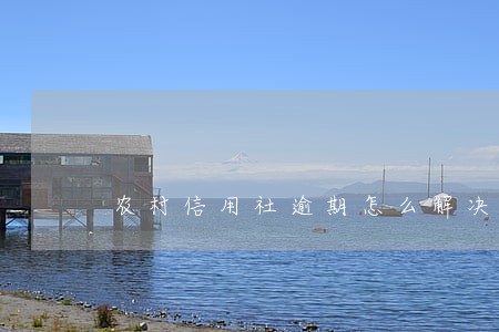 农村信用社逾期怎么解决 农村信用社逾期怎么解决