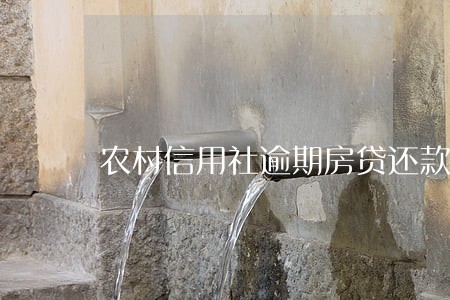 农村信用社逾期房贷还款5天 农村信用社逾期房贷还款5天