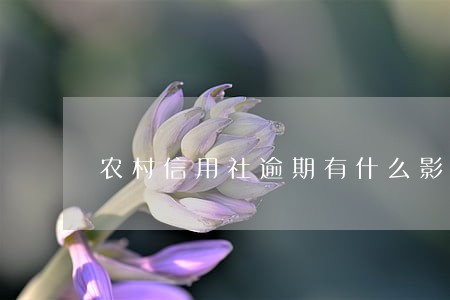 农村信用社逾期有什么影响 农村信用社逾期有什么影响