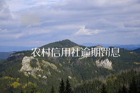 农村信用社逾期罚息 农村信用社逾期罚息