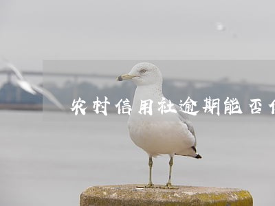 农村信用社逾期能否借款