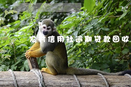 农村信用社逾期贷款回收工作 农村信用社逾期贷款回收工作