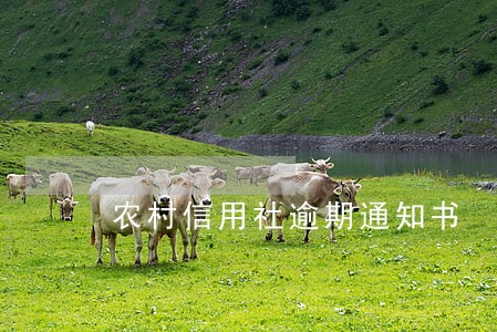 农村信用社逾期通知书