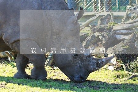 农村信用贷款逾期 农村信用贷款逾期