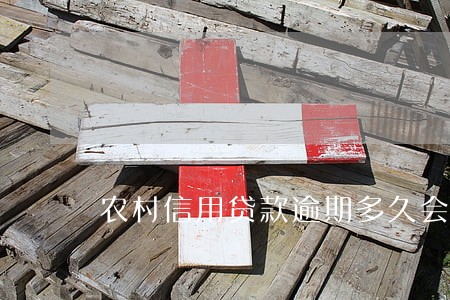 农村信用贷款逾期多久会起诉