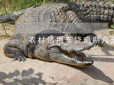 农村信用车贷逾期几天