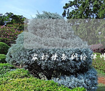 农村债务纠纷律师咨询 农村债务纠纷律师咨询