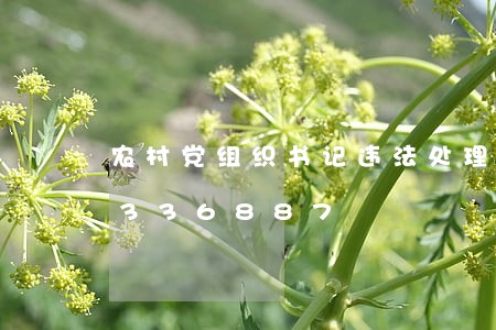 农村党组织书记违法处理/2023020336887 农村党组织书记违法处理/2023020336887