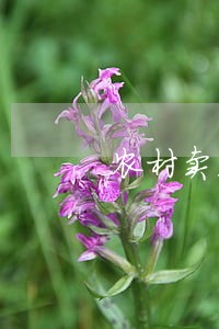 农村卖石头违法吗