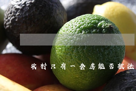 农村只有一套房能否被法院厂 农村只有一套房能否被法院厂