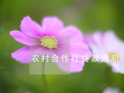 农村合作社贷款逾期 农村合作社贷款逾期