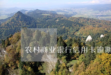 农村商业银行信用卡逾期两天 农村商业银行信用卡逾期两天