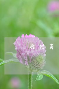 农村商业银行逾期天上征信 农村商业银行逾期天上征信