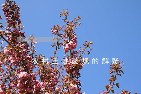 农村土地法规的解疑 农村土地法规的解疑