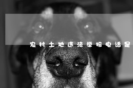 农村土地违法举报电话是多少 农村土地违法举报电话是多少
