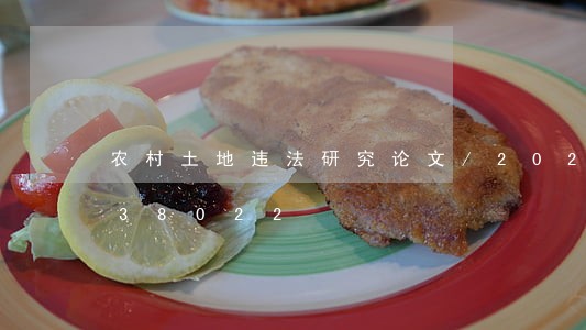 农村土地违法研究论文/2023020138022 农村土地违法研究论文/2023020138022