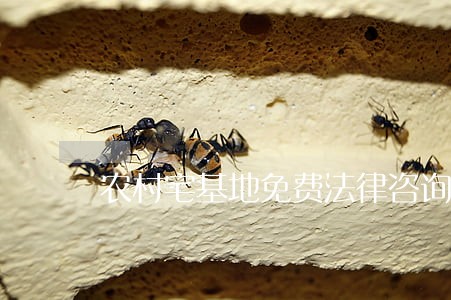 农村宅基地免费法律咨询 农村宅基地免费法律咨询