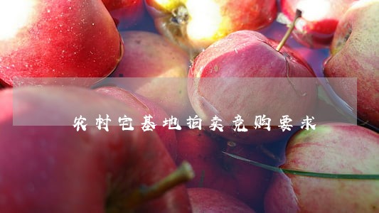 农村宅基地拍卖竞购要求 农村宅基地拍卖竞购要求