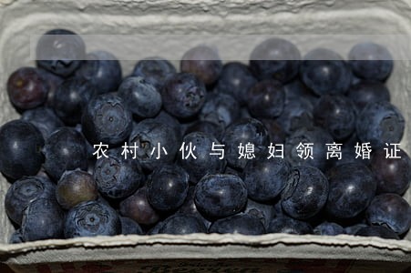 农村小伙与媳妇领离婚证 农村小伙与媳妇领离婚证