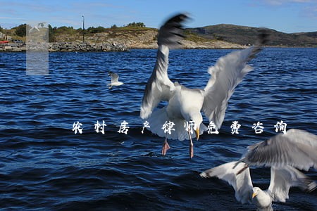 农村房产律师免费咨询 农村房产律师免费咨询