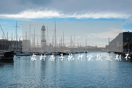 农村房子抵押贷款逾期不还 农村房子抵押贷款逾期不还