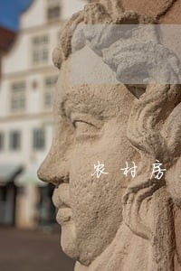 农村房屋买卖合同被法院判决无效 农村房屋买卖合同被法院判决无效