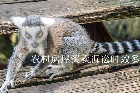 农村房屋买卖诉讼时效多长 农村房屋买卖诉讼时效多长