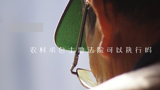 农村承包土地法院可以执行吗 农村承包土地法院可以执行吗