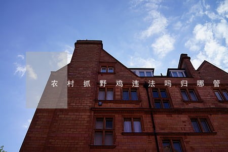 农村抓野鸡违法吗归哪管 农村抓野鸡违法吗归哪管
