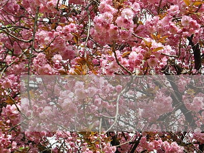 农村政策法规简述如何减轻农民负担 农村政策法规简述如何减轻农民负担