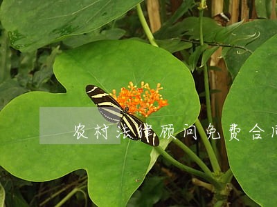 农村法律顾问免费合同 农村法律顾问免费合同
